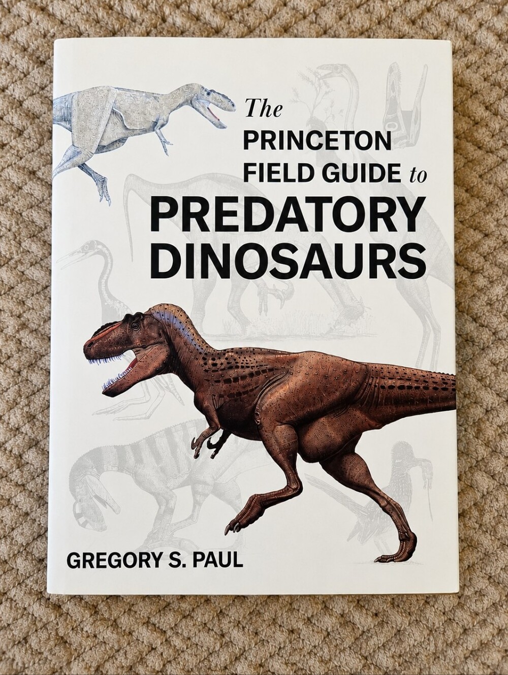 Princeton Field Guide to Predatory Dinosaurs by Gregory S. Paul